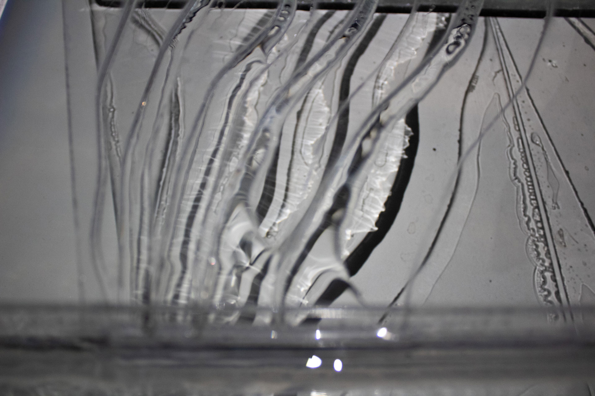Der Geldfluss in Wasserprojekte